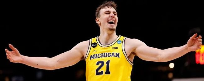 的指导下 的指导下