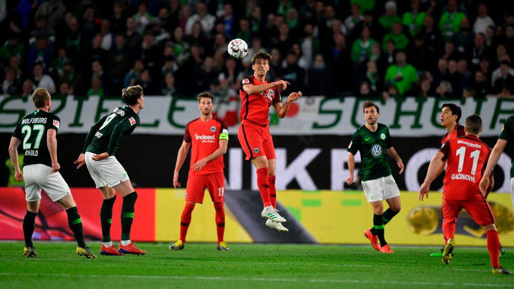 本文以他视 本文以他视